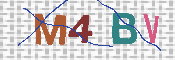CAPTCHA Resmi