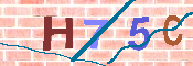 CAPTCHA Resmi