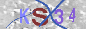 CAPTCHA Resmi