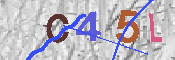 CAPTCHA Resmi