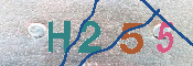CAPTCHA Resmi